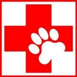 Red Cross